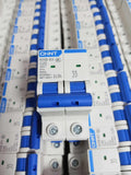 CHINT Mini Circuit Breaker 2POLES