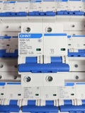CHINT Mini Circuit Breaker 2POLES