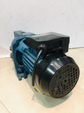 HOOVER HSWP 80 AND 100 (HOOVER SHALLOW WELL PUMP)
